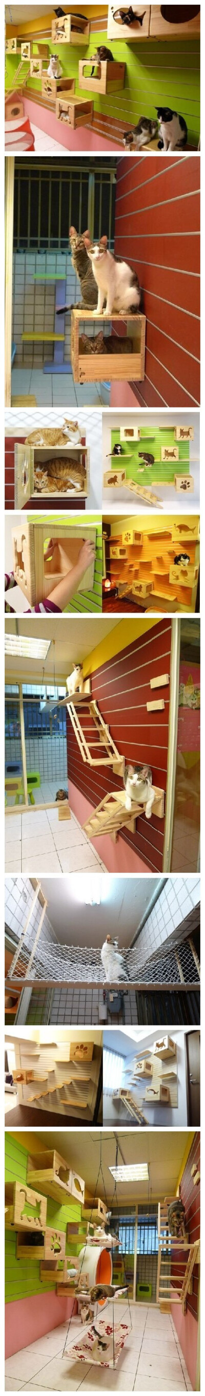 创意宠物家具 喵星人的专属游戏墙 有日本设计师为 狗狗们设计专属家具 ，喵星人完全不以为然，因为它们早就有自己的家具开发公司了——CatsWall，它是一家专门开发让猫咪在墙壁上玩耍的家具公司哟。 这些箱子既能让…