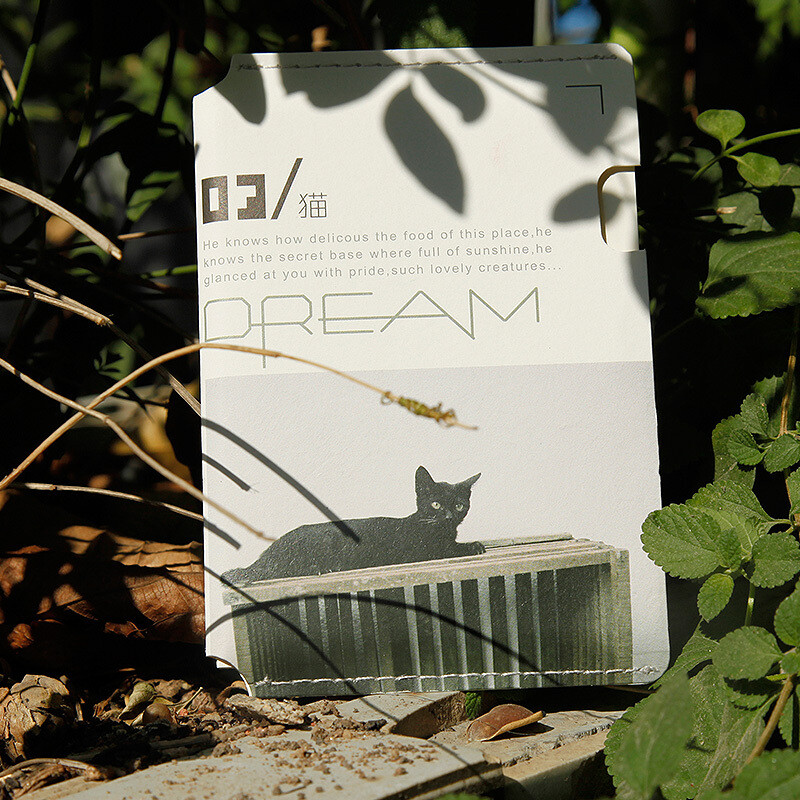 朗品隽逸 辛辛印象 明信片