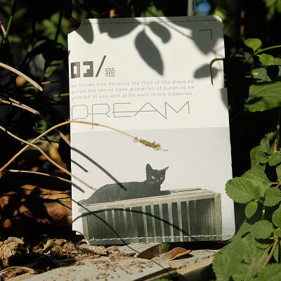 朗品隽逸 辛辛印象 明信片