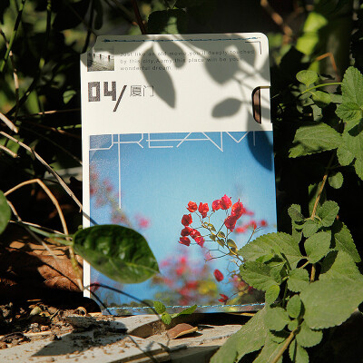 朗品隽逸 辛辛印象 明信片 厦门