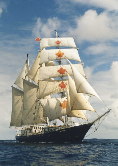 Tall Ship Concordia