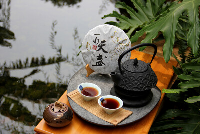 益心泉·一水天盏·2009年极品普洱茶 熟茶 西双版纳勐海古茶区