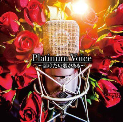 Platinum Voice~届けたい歌がある~／諏訪部順一,井上和彦,KENN 等