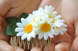 捧在手心里的明媚