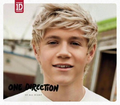 Niall Horan。 Niall一开始的梦想是当一名独唱歌手