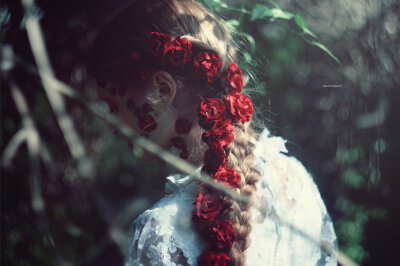 roses by =SlevinAaron on deviantART