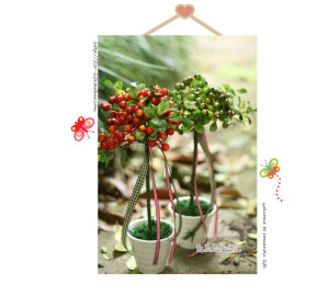 一盆具有田园风格的装饰花