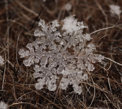 雪花微距摄影ipc