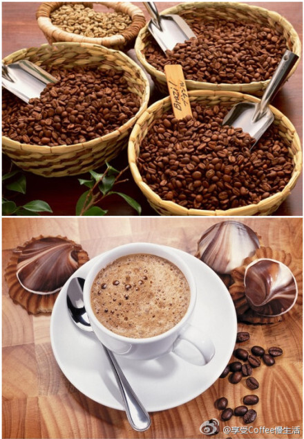 【牙买加蓝山咖啡Blue Mountain Coffee】是一种知名度较高的咖啡，只产于中美洲牙买加的蓝山地区，并且只有种植在1800米以上的山地，拥有香醇、苦中略带甘甜、柔润顺口的特性，而且稍微带有酸味，能让味觉感官更为灵敏，品尝出其独特的滋味，是为咖啡之极品~