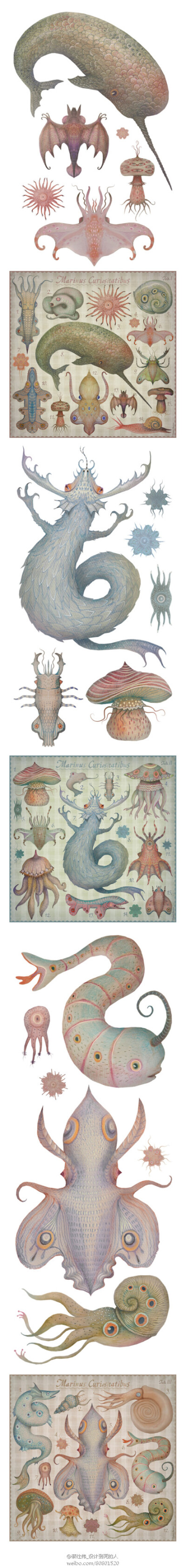 来自芬兰的设计师、插图师Vladimir Stankovic画过很多怪异生物，仍然喜欢这些怪怪的东西。。。