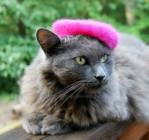 Hats for cats.