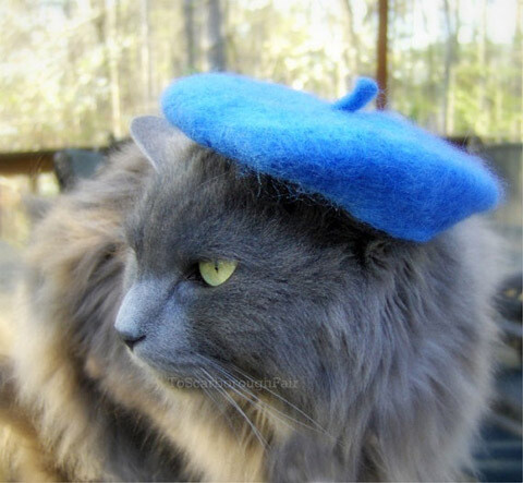 Hats for cats.