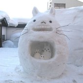 雪猫一家