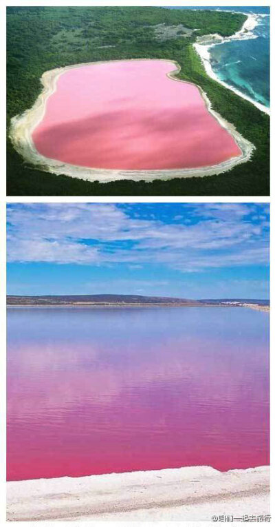 粉色的湖水你们见过吗？位于西澳大利亚州的赫特泻湖居然常年呈现粉红色，甚至是红色的湖水。科学家至今也无法解释这是为神马。它的浪漫还尤其体现在当你站在湖边抬头望，粉色的湖面犹如黄昏夕阳，会有一种乾坤颠倒的…