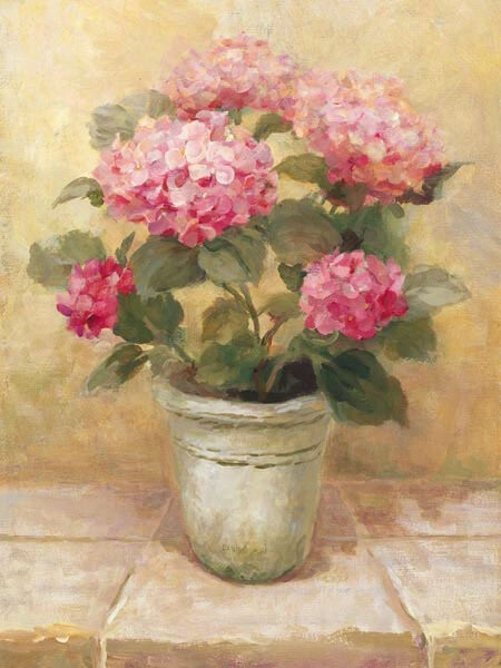 Danhui Nai的一组传统插画，关于静物花朵。