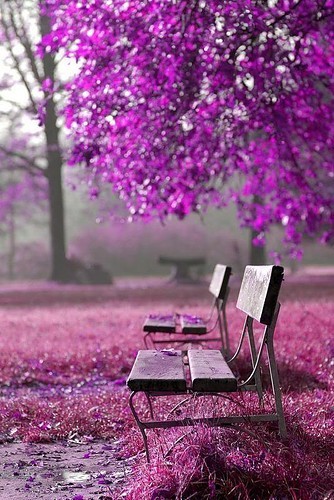 I'd love to sit in this park :)