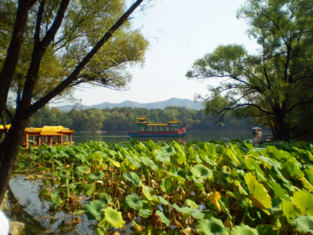 【热河行宫】承德、热河行宫，那三百余年的荷塘，你都见证了那些沧桑？