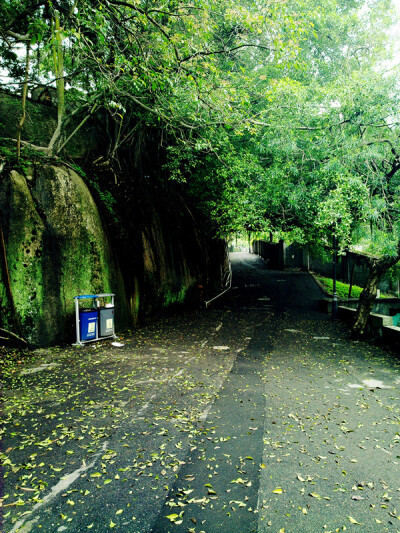 迷路--鼓浪屿