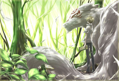 治愈系 夏目 猫咪老师