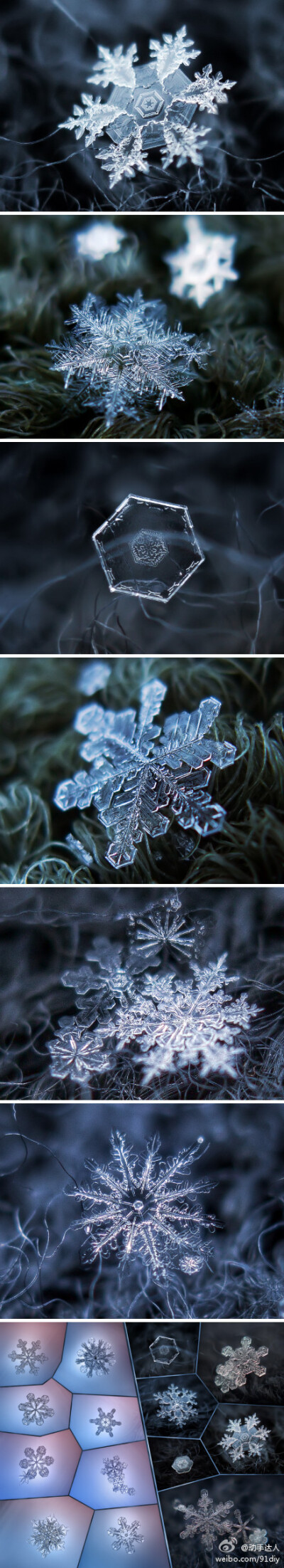 近观雪花之美，每一片雪花，都是独一无二的自然杰作。来自俄罗斯摄影师 Alexey Kljatov 的显微摄影作品（组照）