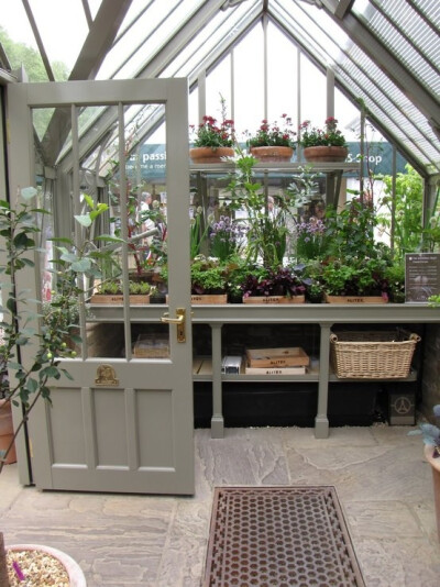 greenhouse bliss by jum jum