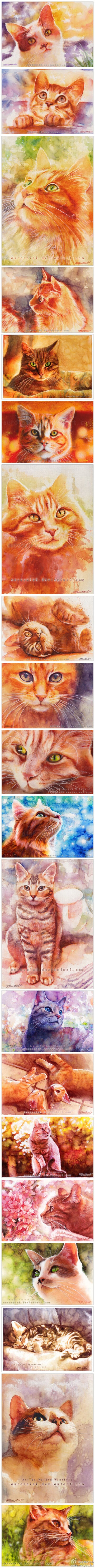 明媚阳光的可爱猫咪，来自德国Aurora Wienhold的猫咪水彩绘画