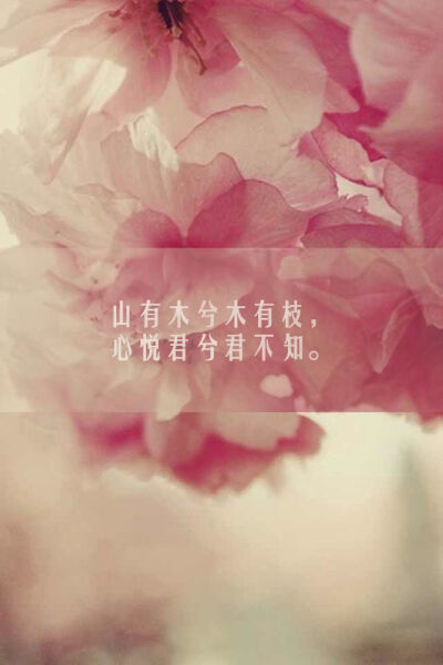 iphone、wallpaper、iPhone、iphone壁纸、iphone高清壁纸