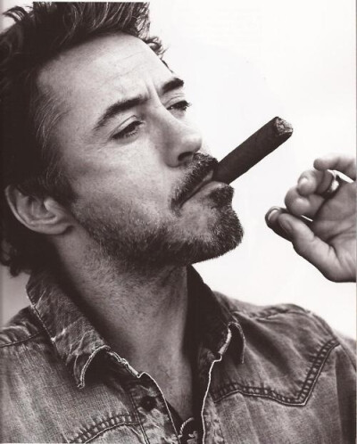 Robert John Downey Jr（小罗伯特-唐尼）——越老越有味，魅力无敌。