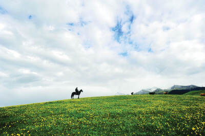 喀拉峻旅游区——中天山雪峰景区的7月