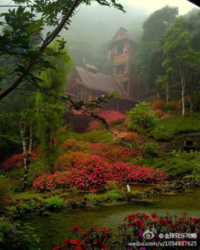 【哥斯达黎加 塔拉曼卡山脉】清澈的山间小溪，圣洁的高山教堂，堪称世外仙境。住着仙女的地方。