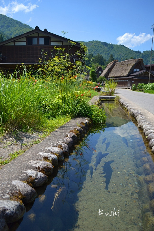 【旅行】百川乡合掌村