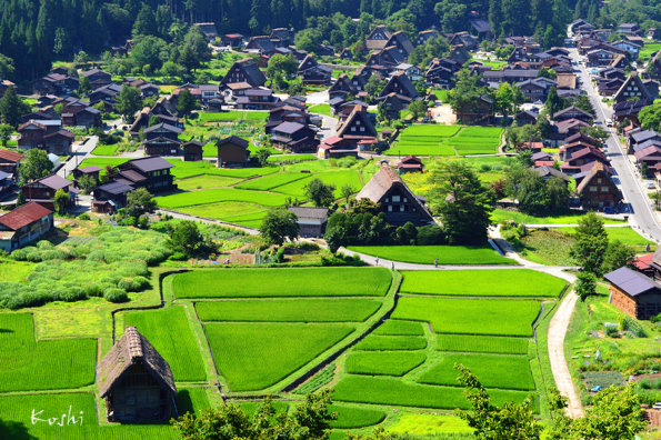 【旅行】百川乡合掌村