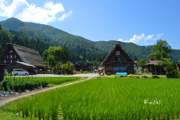 【旅行】百川乡合掌村，风景美如画