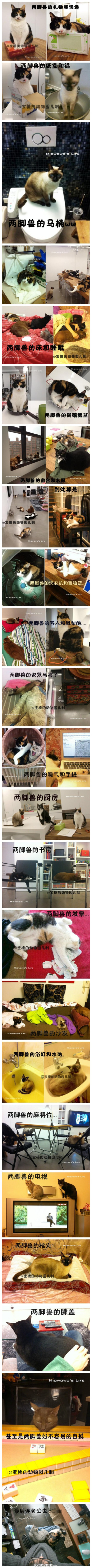 &quot;喵星人大侵占&quot;可能养猫的人看了这些图会会心一笑，没有养猫的也觉得很可爱，但是养猫咪你需要做好负责10-20年的心理准备，要知道你的所有空间和家具都是会被喵星人霸占的，以及满天飞的猫毛等等。所以没有做好准备到时候又丢弃或者退养的话不如一开始就不要一时冲动【拖~】