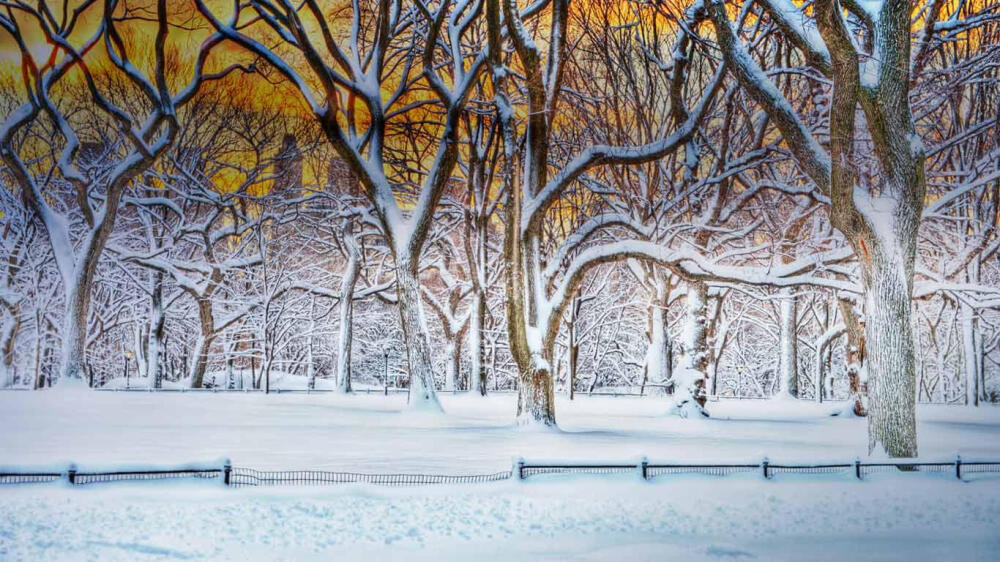 暴风雪后的纽约中央公园