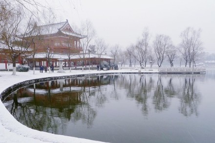 西安雪景。你在我心中永远是过去的那个长安。