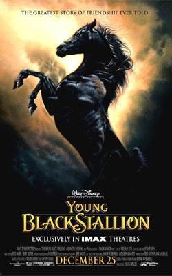 小黑马theyoungblackstallion