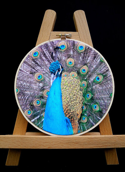 Embellished Hoop Art - Embroidered Photograph