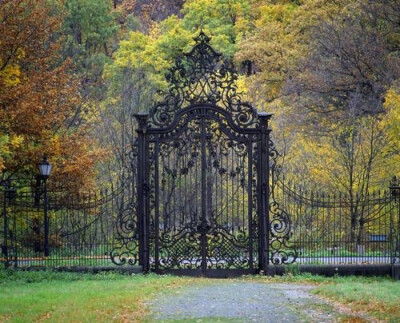 Intricate wrought iron gate