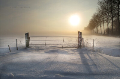 Photograph Winter memory II Remasterd by Ria de Boer on 500px