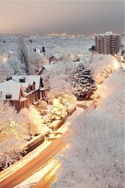 牵你的手，赴一场风花雪夜的梦。——摄/伦敦雪景。