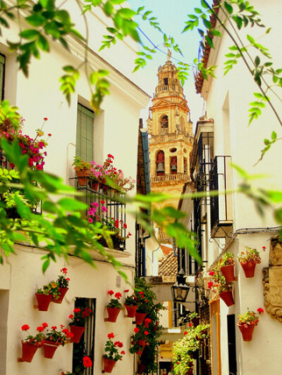 西班牙，科尔多瓦，整个城区是一片花的海洋。门前、窗外、墙上和小巷里到处是盛开的鲜花。随便钻进一条小巷，雪白的墙壁上，错落有致地挂着各色天竺葵，在这里迷失的不仅是方向，还有你的心。