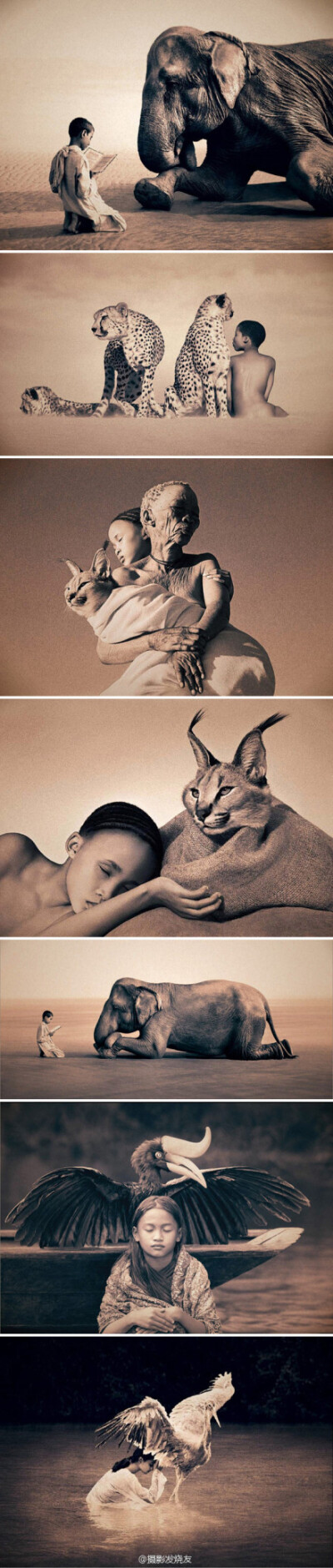 【Gregory Colbert：人与动物精神合一的摄影作品】