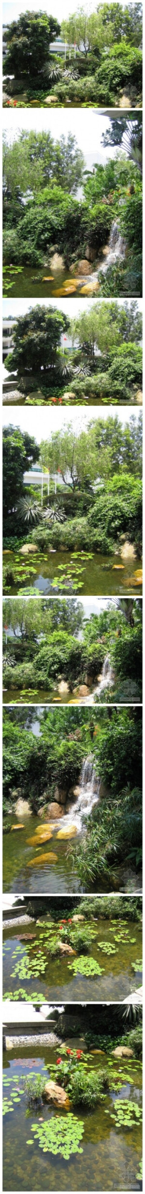 在园林空间中，无论是以植物为主景，或植物与其他园林要素共同构成主景，在植物种类的选择，数量的确定，位置的安排和方式的采取上都应强调主体，作到主次分明，以表现园林空间景观的特色和风格。