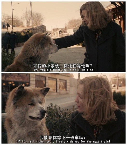 忠犬八公