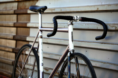 【最近迷两轮】