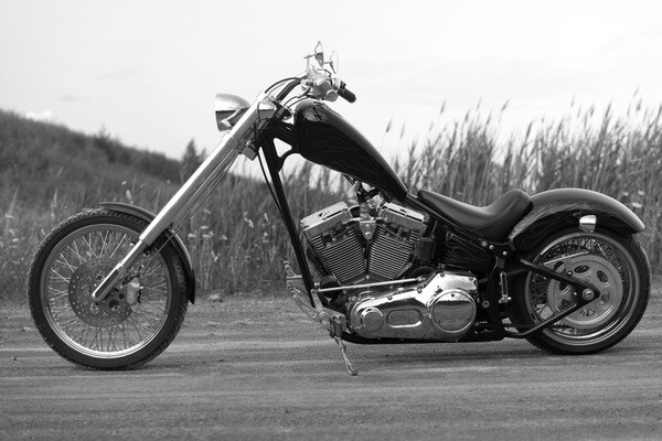 【最近迷两轮】