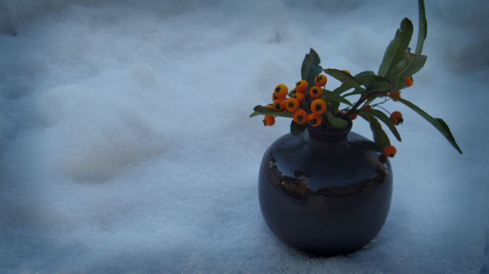 雪後.陶器.果實.