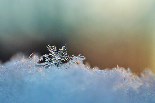 剔透的雪花