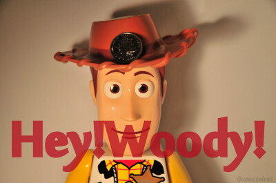 Hey!Woody!